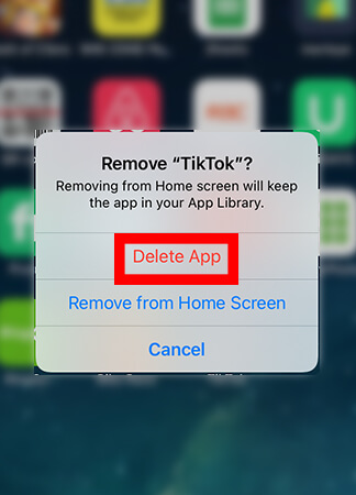 confirm delete tiktok app