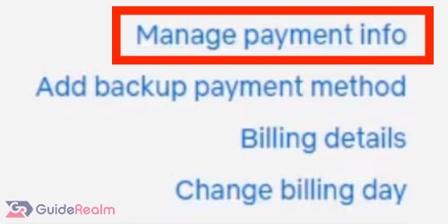 manage payment info netflix