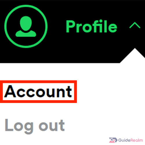 spotify normal profile options 2