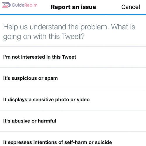report an issue form twitter