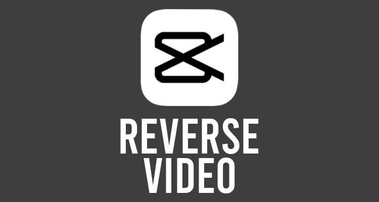 reverse video in capcut