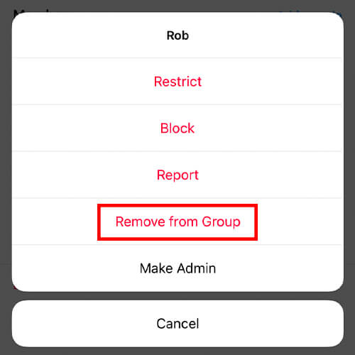 remove from group button on instagram group chat