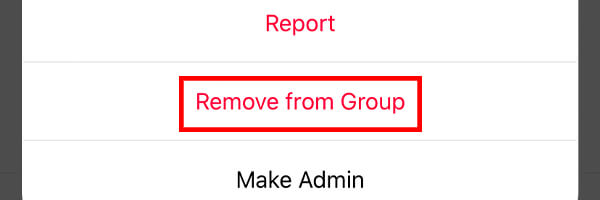 remove from group button in instagram group chat