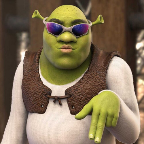 shreck with sunglasses