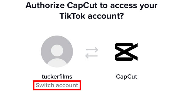 switch account button on capcut